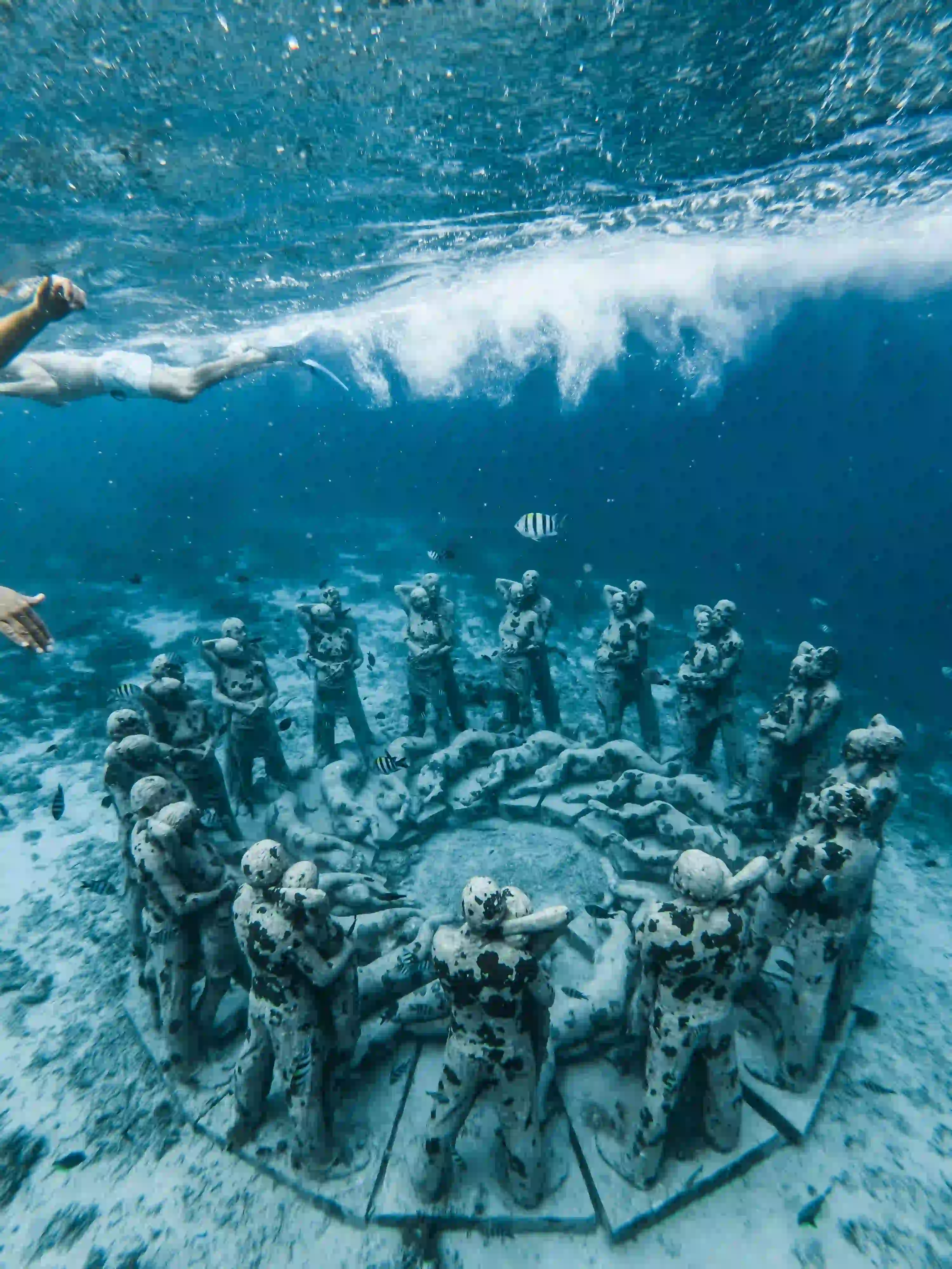 Snorkling in lombok | Lombok Yacht | Lombok Yacht | Lombok Yacht