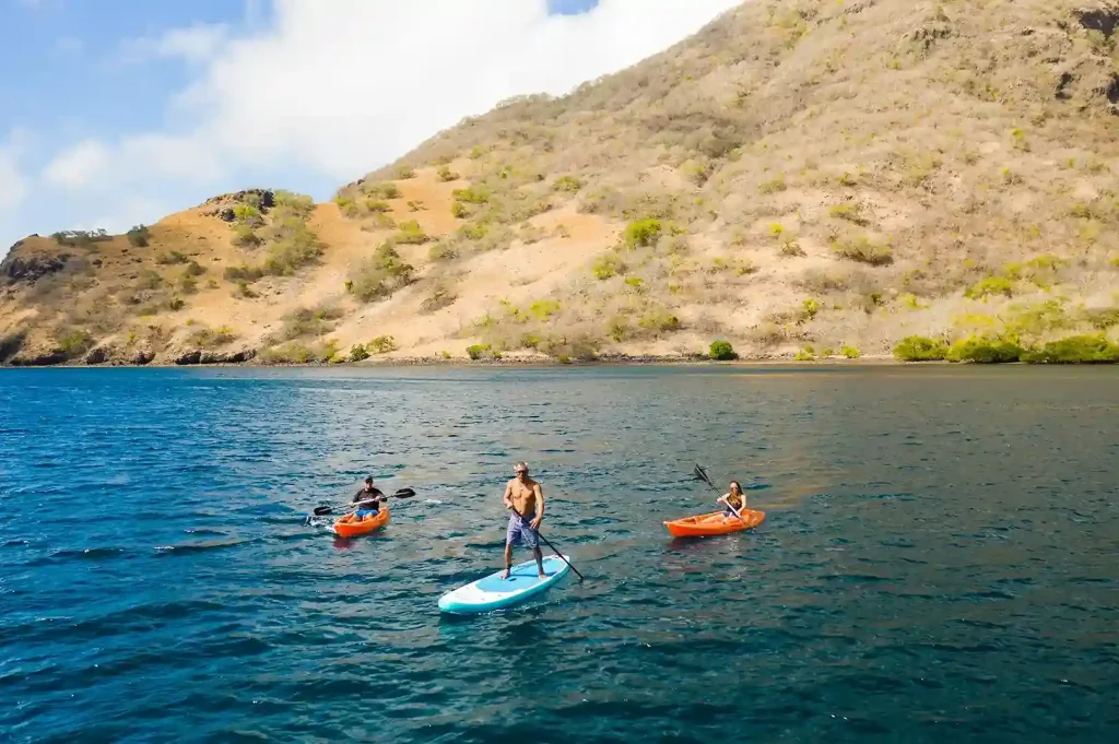Guests paddleboarding and kayaking in a sheltered Komodo bay