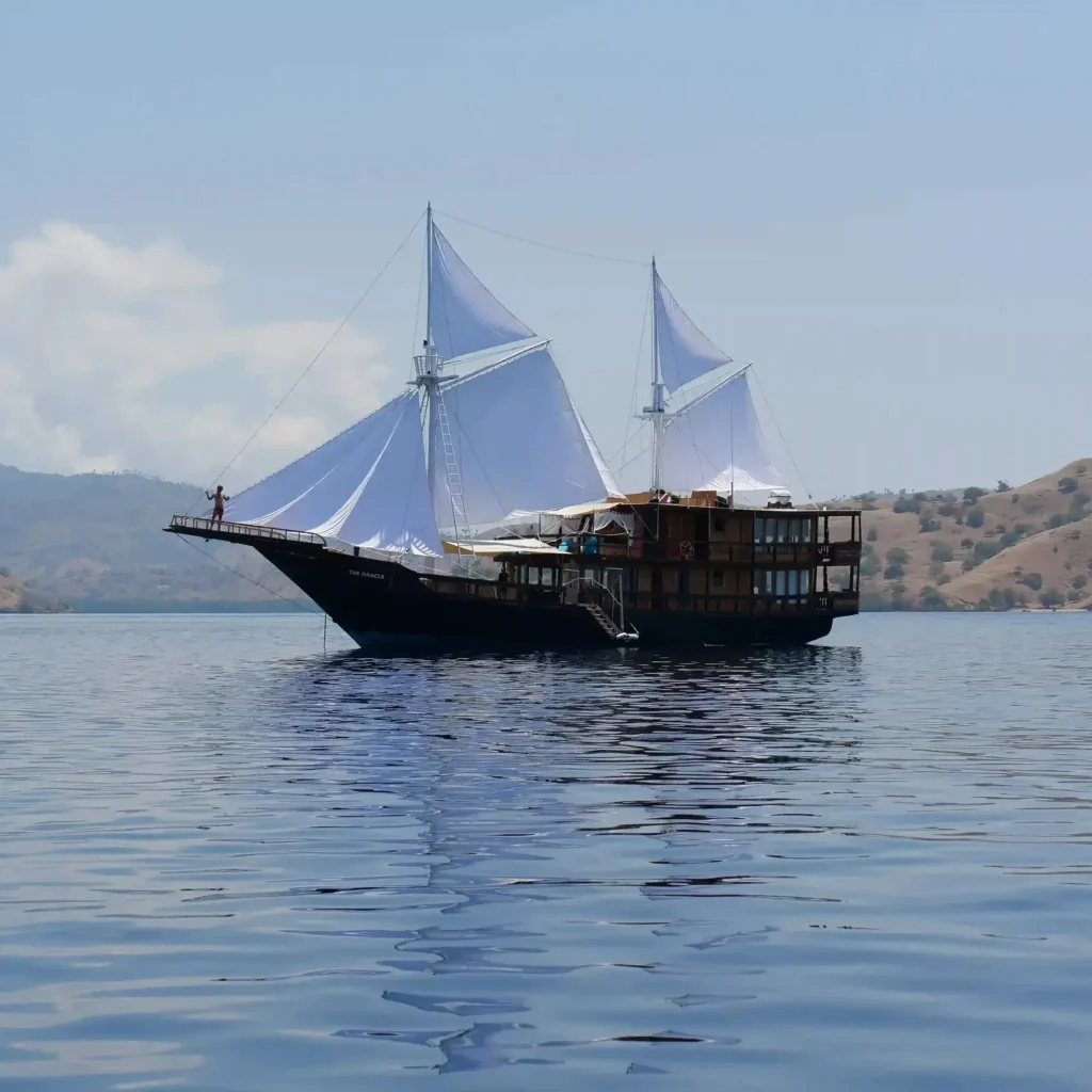 Phinisi The Oracle under white sails